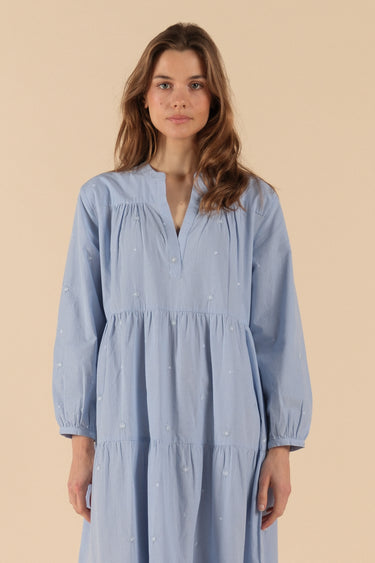 Daisy Blue