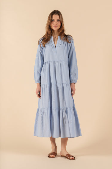 Daisy Blue