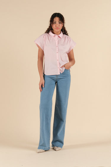 64095 rose